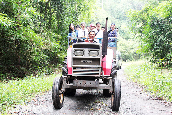 Đoàn tham quan của Hội Nhà báo Đồng Nai thăm một số địa điểm trên cung đường trekking rừng Thác Mai - Gia Canh bằng xe máy cày. Ảnh: Hải Quân